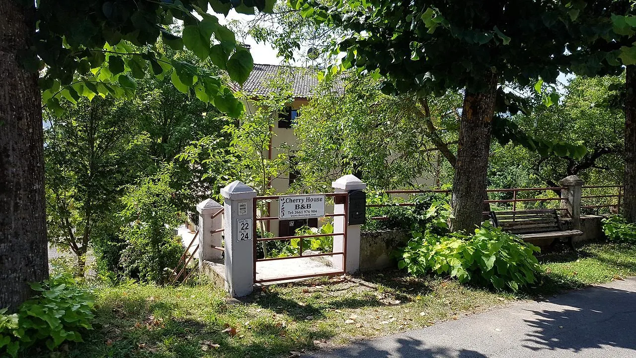 Bed & Breakfast Cherry House B&B Polinago